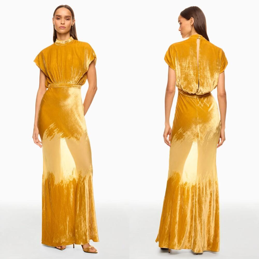 Saloni Fabienne Dress Silk Blend Velvet Cap Sleeve Open Back Maxi Gown Gold 6